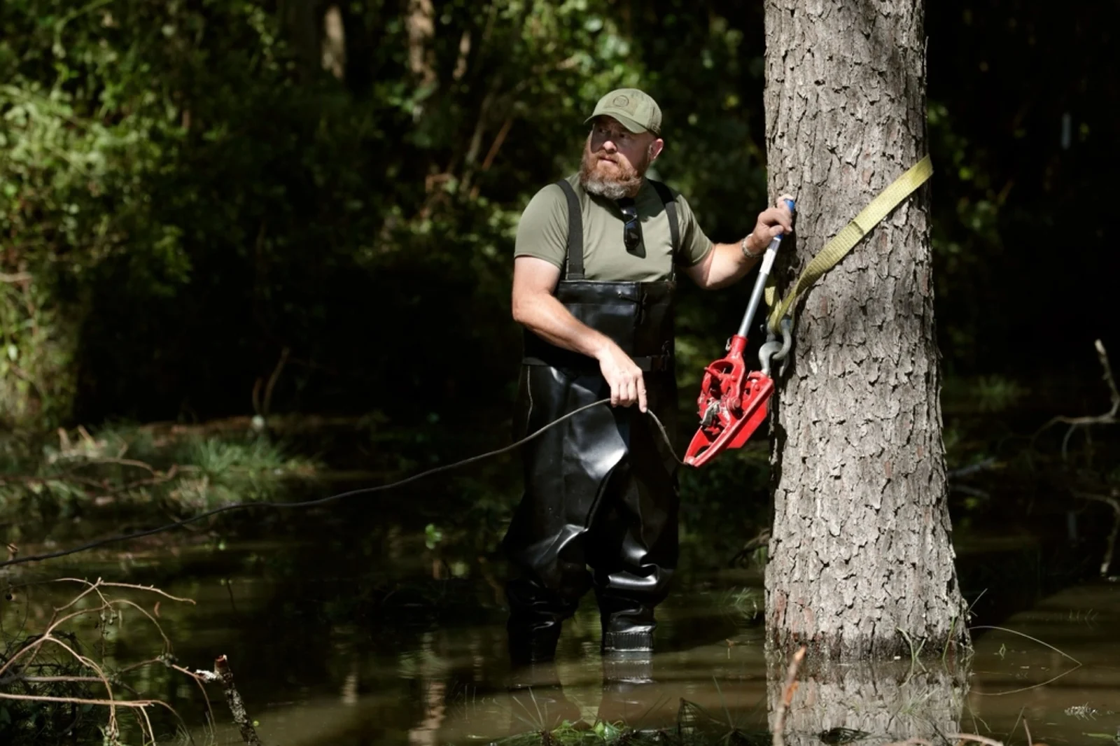 A Tallpine Tree Care climber cutting down a large trunk